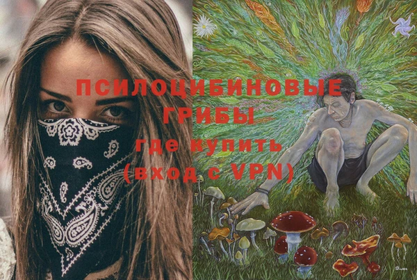 мдпв Навашино