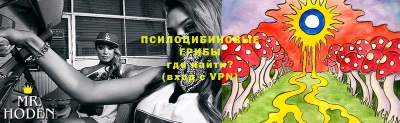 продажа наркотиков  Константиновск  Псилоцибиновые грибы Psilocybe 